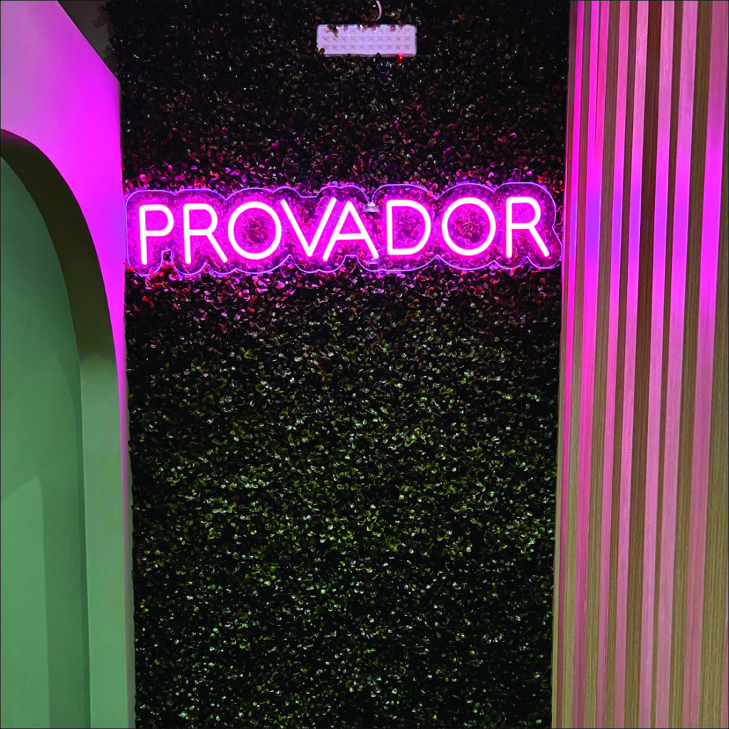 Provador Neon